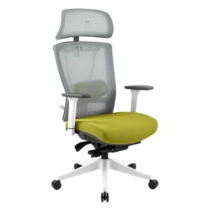 Chaise de Bureau Ergonomique REKT Office-R avec Support Lombaire et Appuie-Tête