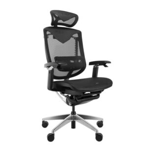 Chaise de Bureau Ergonomique REKT RGo Max – Confort Ajustable Noir