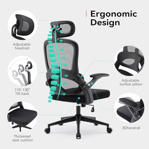 Chaise de Bureau Ergonomique SIHOO M102C avec Accoudoirs et Soutien Lombaire