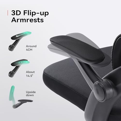 Chaise de Bureau Ergonomique SIHOO M102C avec Accoudoirs et Soutien Lombaire