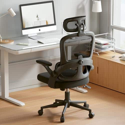 Chaise de Bureau Ergonomique SIHOO M102C avec Accoudoirs et Soutien Lombaire