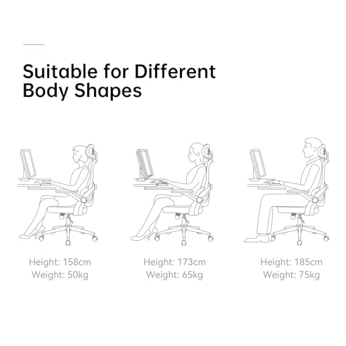 Chaise de Bureau Ergonomique SIHOO M102C avec Accoudoirs et Soutien Lombaire