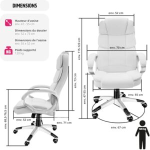 Chaise de Bureau Ergonomique TecTake® Gaming avec Accoudoirs et Appui-tête – Blanc