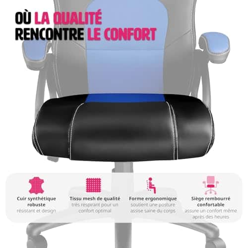 Chaise de Bureau Ergonomique TecTake® avec Accoudoirs et Rembourrage Épais