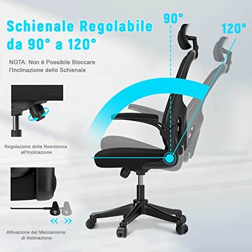 Chaise de Bureau Naspaluro Ergonomique avec Support Lombaire et Accoudoirs Réglables