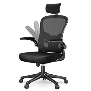 Chaise de Bureau Naspaluro Ergonomique avec Support Lombaire et Accoudoirs Réglables