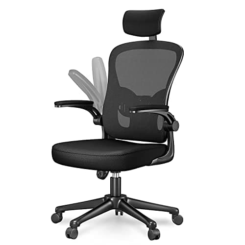 Chaise de Bureau Naspaluro Ergonomique avec Support Lombaire et Accoudoirs Réglables