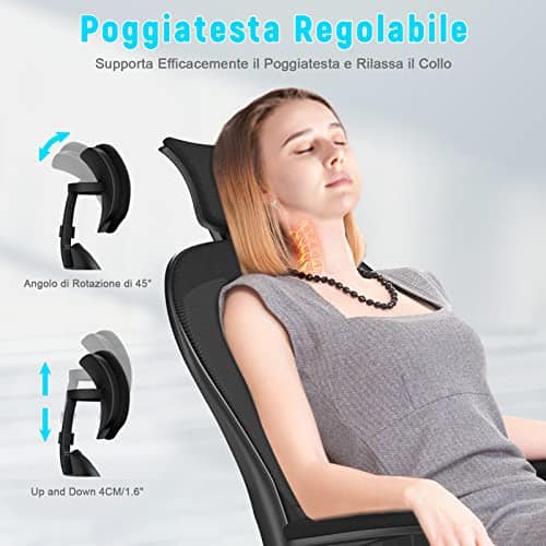 Chaise de Bureau Naspaluro Ergonomique avec Support Lombaire et Accoudoirs Réglables