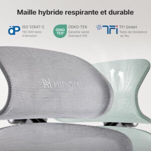 HINOMI H1 Pro V2 : Chaise de Bureau Ergonomique avec Repose-Pieds et Accoudoirs 5D