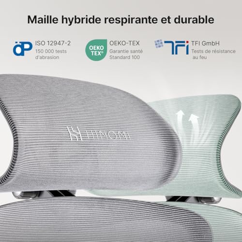 HINOMI H1 Pro V2 : Chaise de Bureau Ergonomique avec Repose-Pieds et Accoudoirs 5D