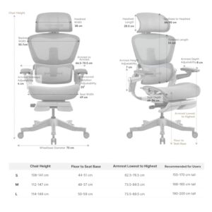 HINOMI H1 Pro V2 : Chaise de Bureau Ergonomique avec Repose-Pieds et Accoudoirs 5D