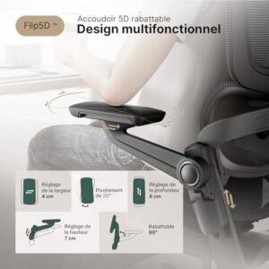 HINOMI H1 Pro V2 : Chaise de Bureau Ergonomique avec Repose-Pieds et Accoudoirs 5D