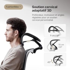 HINOMI H1 Pro V2 : Chaise de Bureau Ergonomique avec Repose-Pieds et Accoudoirs 5D