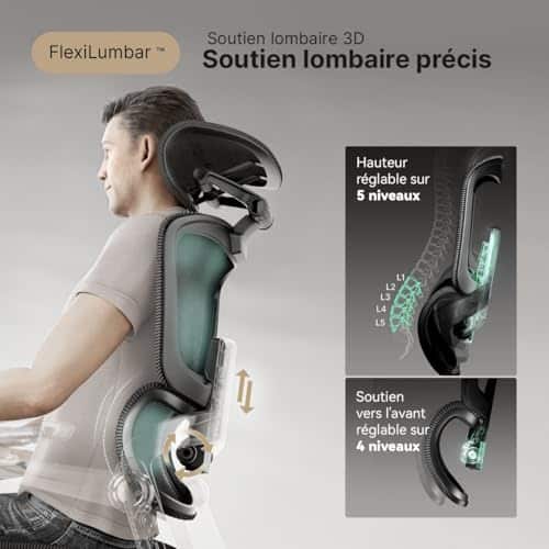 HINOMI H1 Pro V2 : Chaise de Bureau Ergonomique avec Repose-Pieds et Accoudoirs 5D