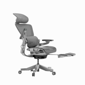 HINOMI H1 Pro V2 : Chaise de Bureau Ergonomique avec Repose-Pieds et Accoudoirs 5D