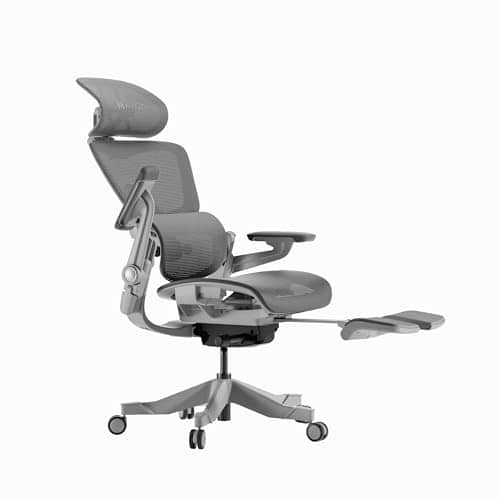 HINOMI H1 Pro V2 : Chaise de Bureau Ergonomique avec Repose-Pieds et Accoudoirs 5D