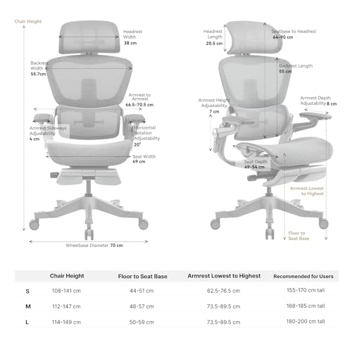 HINOMI H1 Pro V2 : Chaise de Bureau Ergonomique avec Repose-Pieds et Accoudoirs 5D