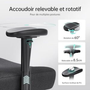 Hbada P3 Chaise de Bureau Ergonomique avec Repose-Pied et Support Lombaire