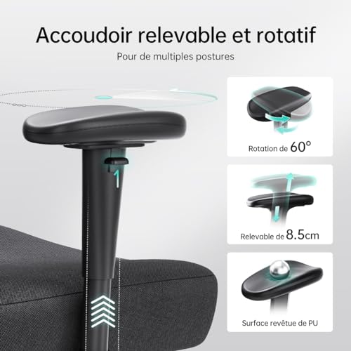 Hbada P3 Chaise de Bureau Ergonomique avec Repose-Pied et Support Lombaire