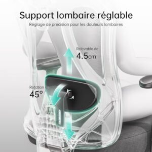 Hbada P3 Chaise de Bureau Ergonomique avec Repose-Pied et Support Lombaire