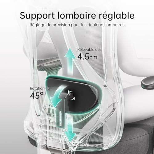 Hbada P3 Chaise de Bureau Ergonomique avec Repose-Pied et Support Lombaire
