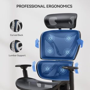 NOBLEWELL Chaise de Bureau Ergonomique avec Dossier Haut et Accoudoirs 3D Noir