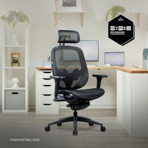 Razer Fujin Pro : Chaise Gaming Haut de Gamme Noir avec Support Lombaire 2D