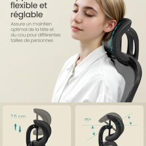 SONGMICS OBN047B01 : Chaise Bureau Ergonomique avec Support Lombaire et Appui-tête