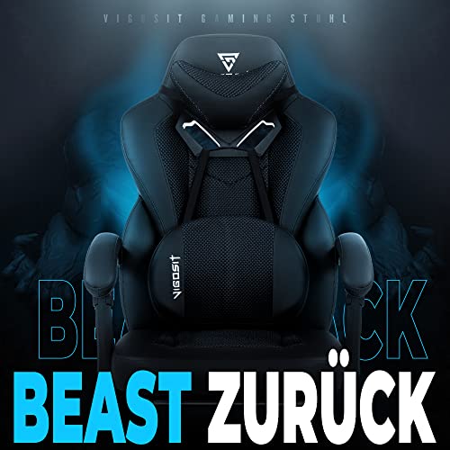 Vigosit Chaise Gaming Ergonomique Inclinable avec Accoudoirs et Repose-Pieds Noir