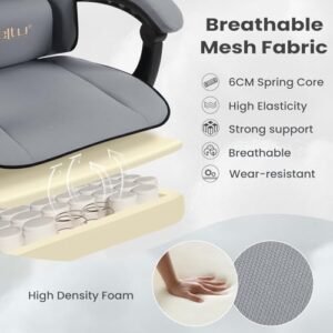 WOLTU GS11gr : Chaise Gaming Ergonomique avec Coussin, Appui-tête et Repose-Pieds